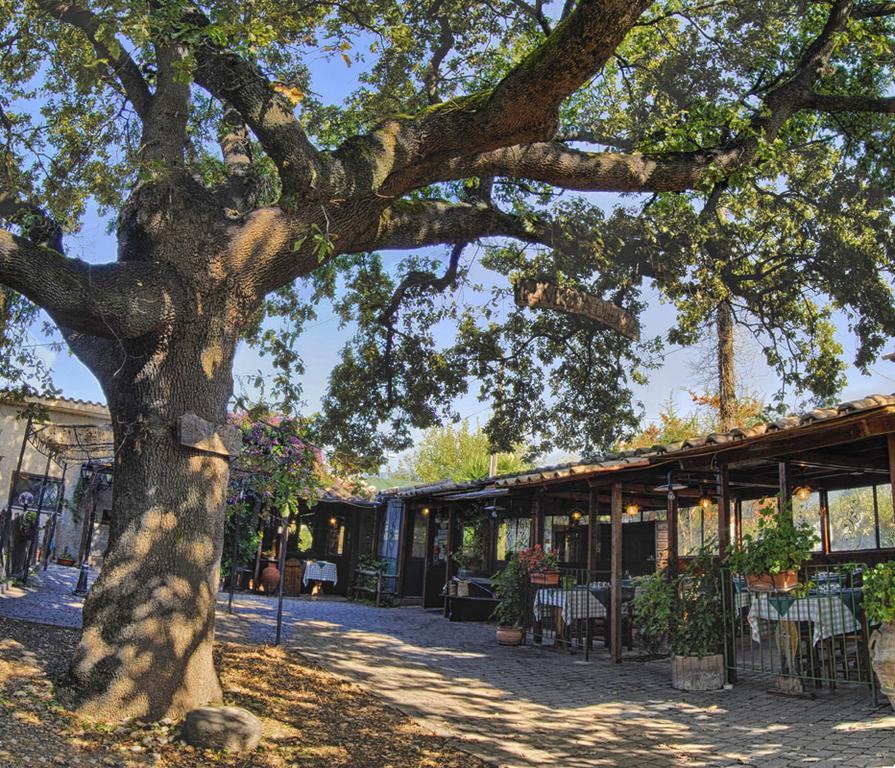 Bed and Breakfast La Vecchia Quercia Selci  Zewnętrze zdjęcie